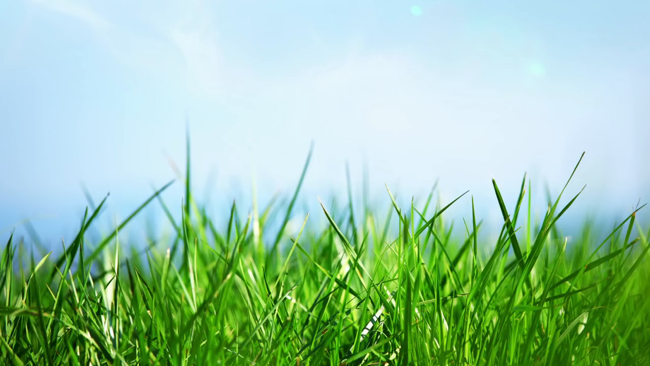 Thetford Porta Potti Qube 165 portable toilet_5d8a237db8f14.png